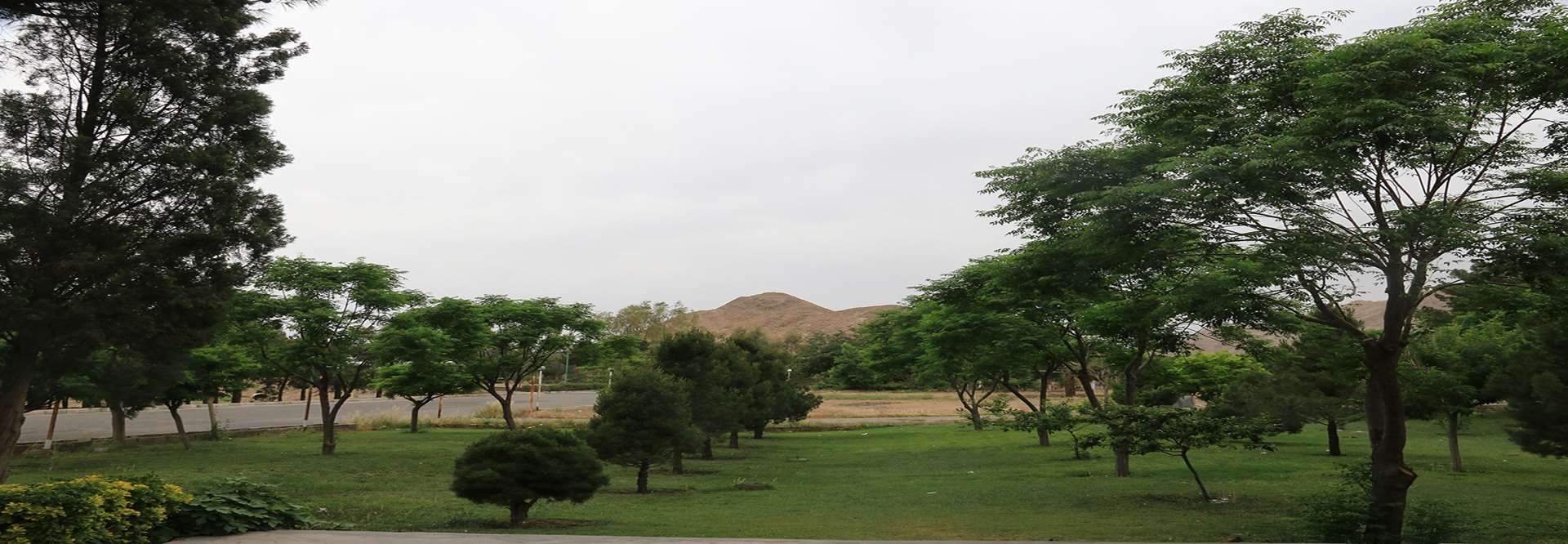 عکس طبیعت مرکز روانپزشکی رازی